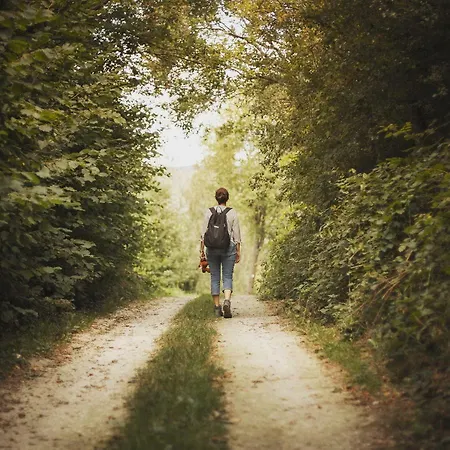 Apartamento Haus Baerbel *