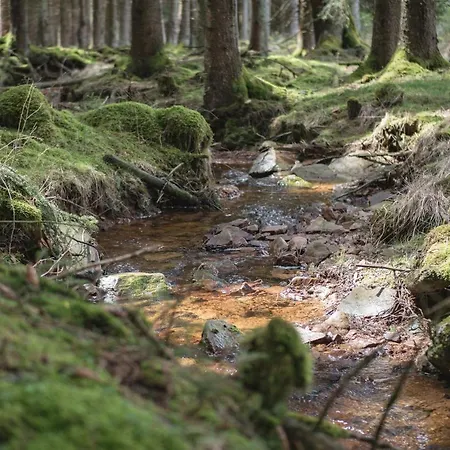 דירה Haus Baerbel *