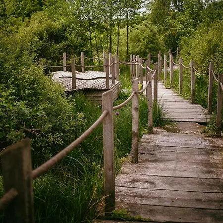 Haus Baerbel Apartmán Geisfeld (Rhineland-Palatinate)