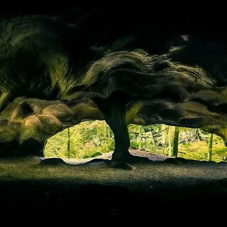 Haus Baerbel Apartment *