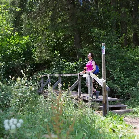 Haus Baerbel Apartamento Geisfeld (Rhineland-Palatinate)