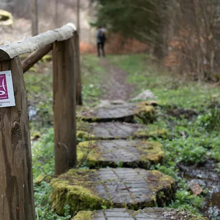 Haus Baerbel * Geisfeld (Rhineland-Palatinate)