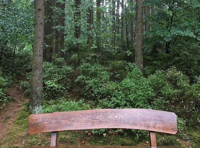 公寓 豪斯芭贝尔公寓 *