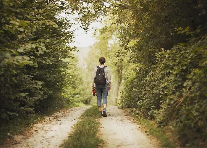 公寓 豪斯芭贝尔公寓 *