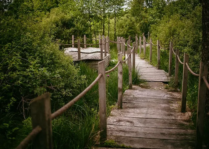 豪斯芭贝尔公寓 公寓 Geisfeld (Rhineland-Palatinate)