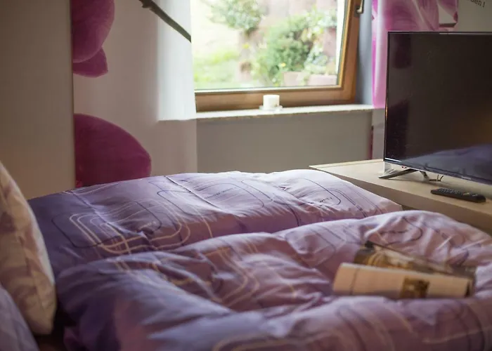 公寓 豪斯芭贝尔公寓 *