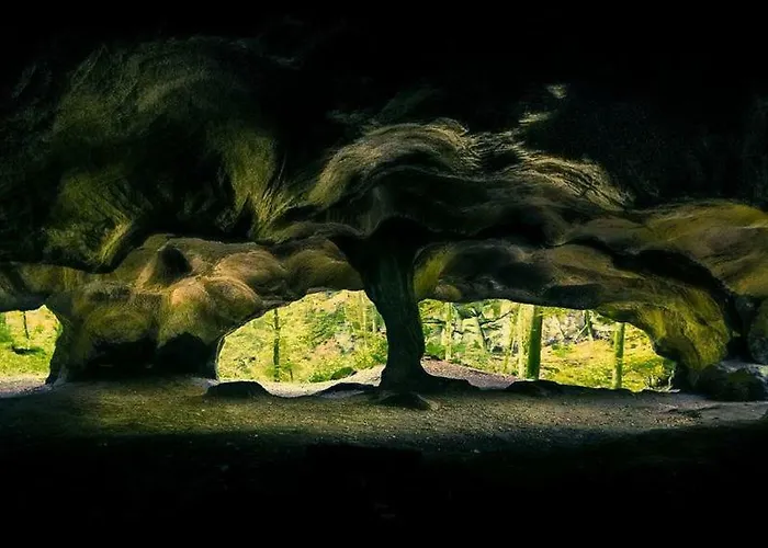 豪斯芭贝尔公寓 公寓 *