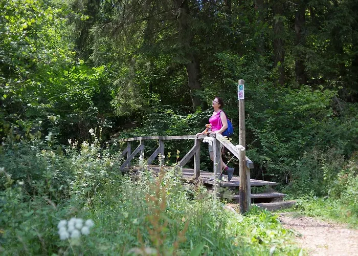 豪斯芭贝尔公寓 公寓 Geisfeld (Rhineland-Palatinate)